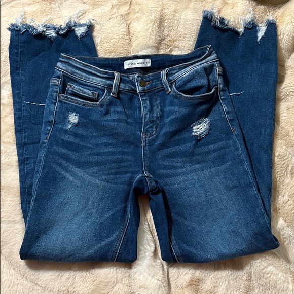 Flying monkey denim - Picture 2 of 5